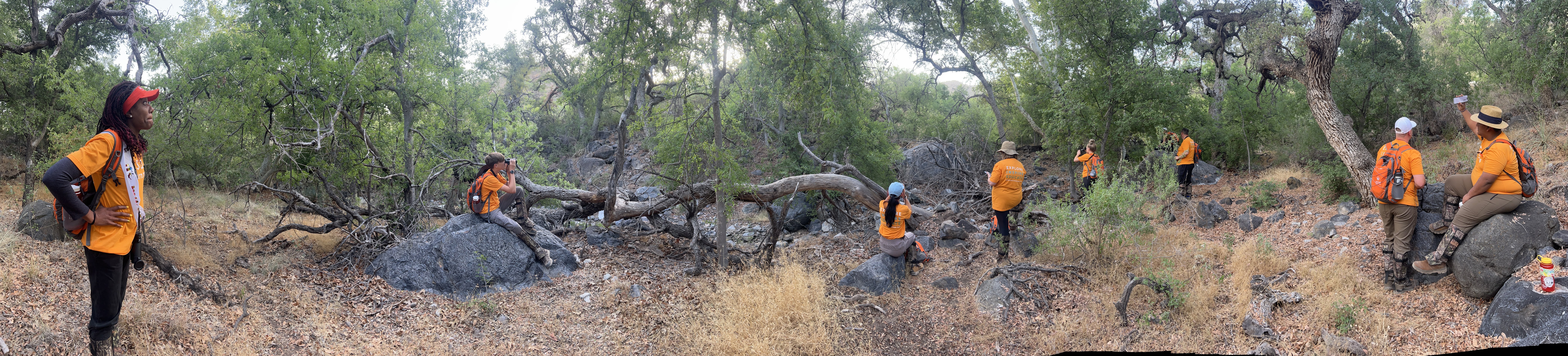 2024 Arizona Argonaut Expedition: Sky Islands BioQuest