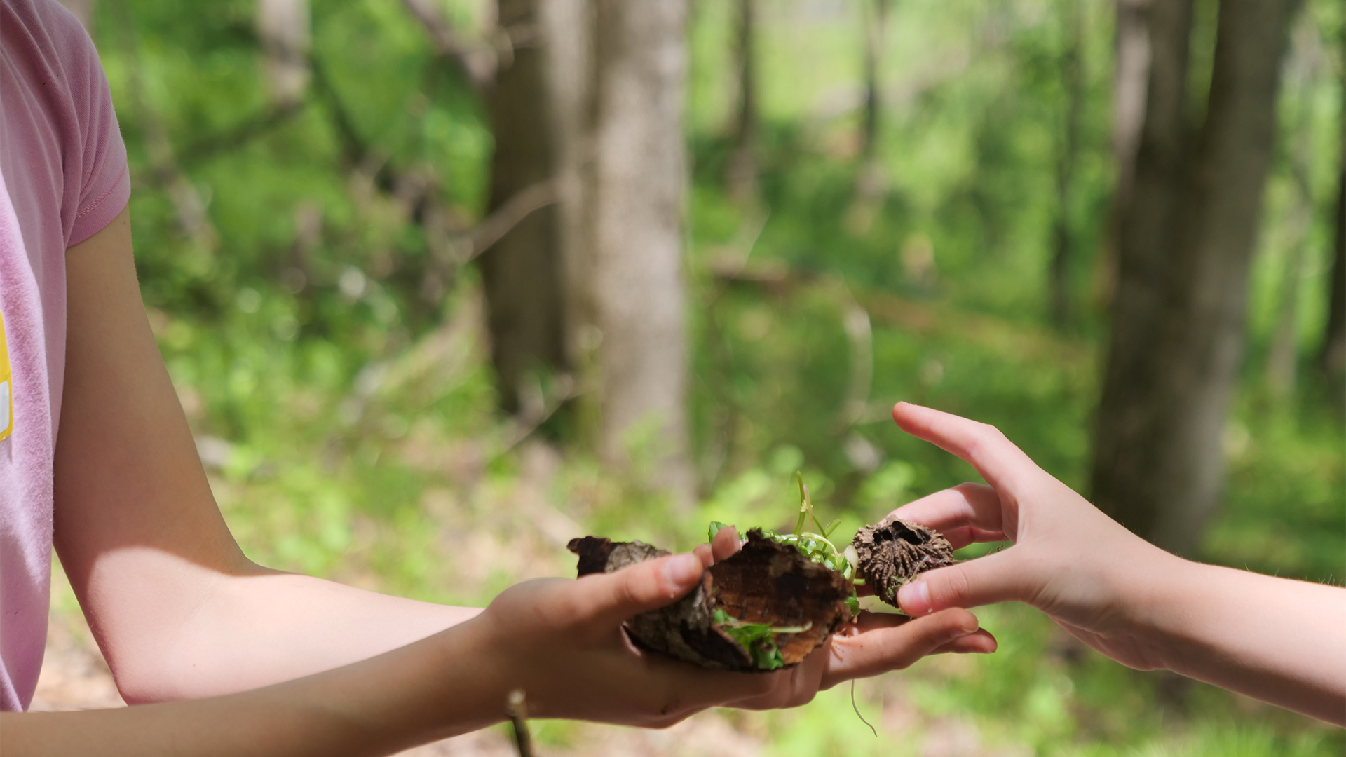 From Cincinnati to Classrooms Nationwide: EcoVillage STEM Program Inspires Students to Build Their Own Communities
